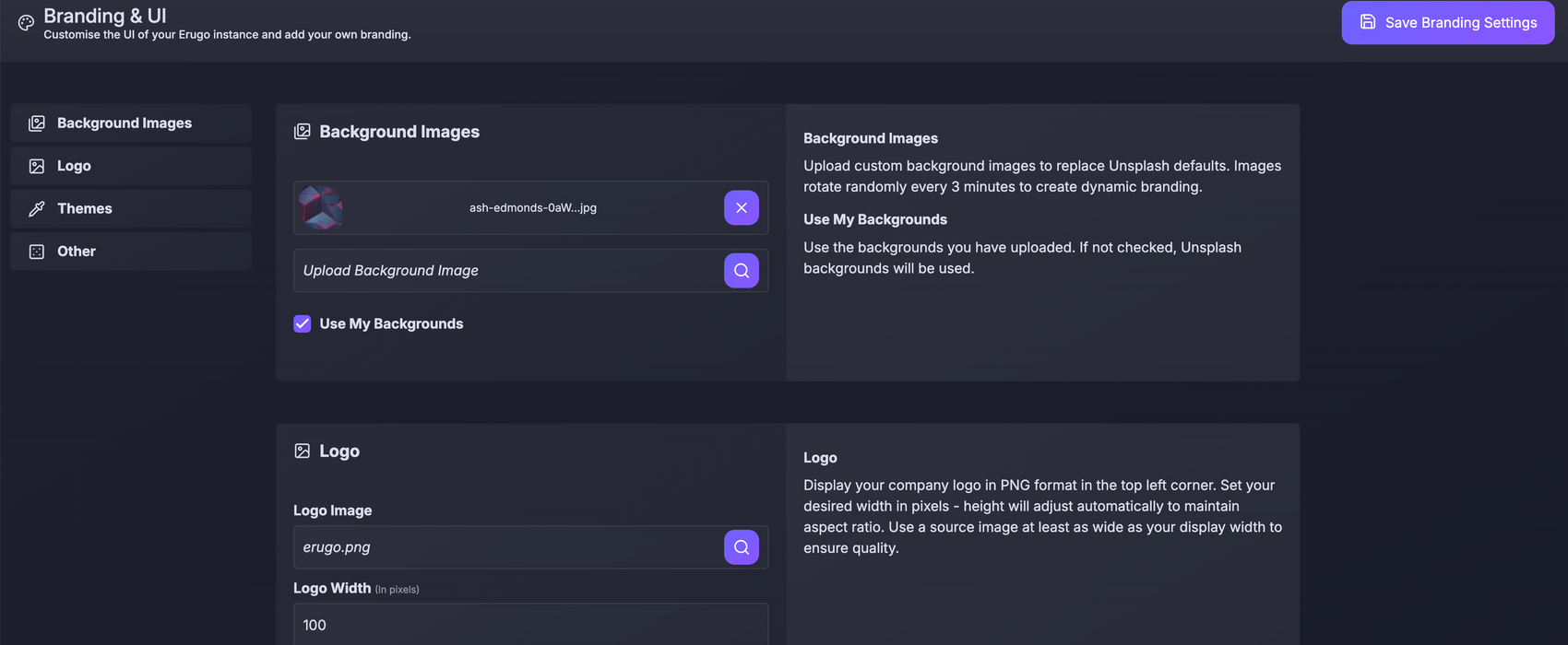 Erugo branding settings