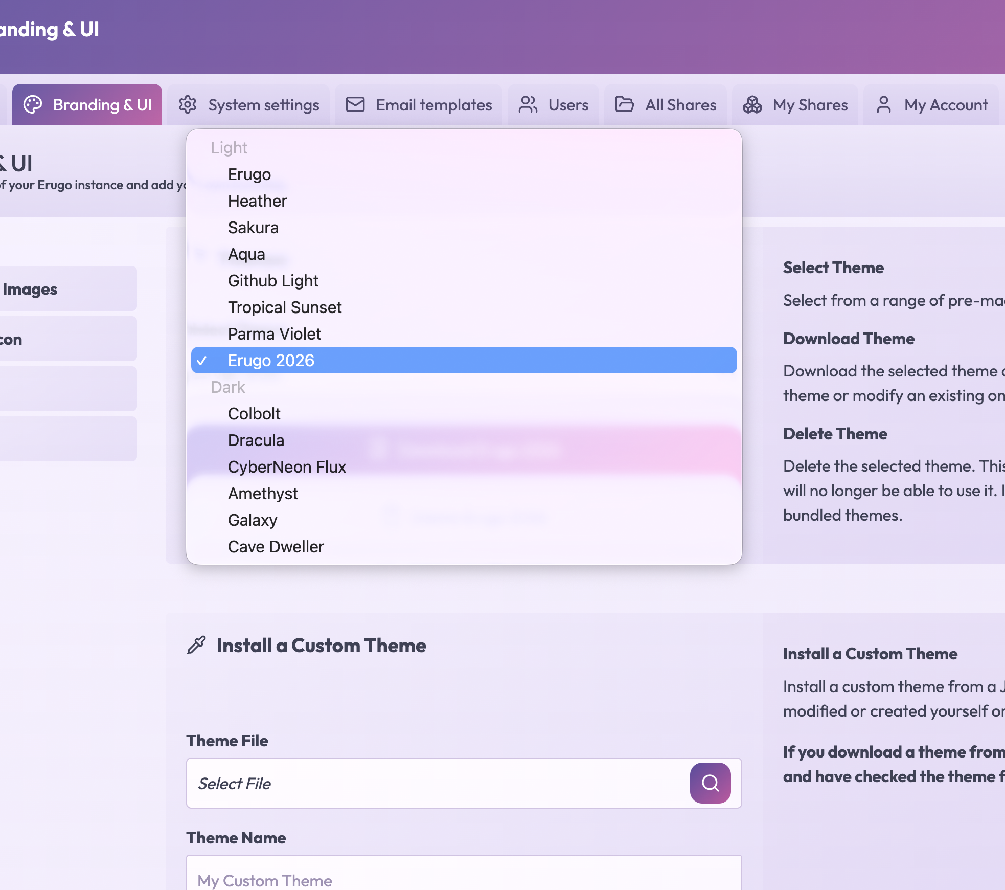 Erugo logo settings panel showing logo upload and width configuration options
